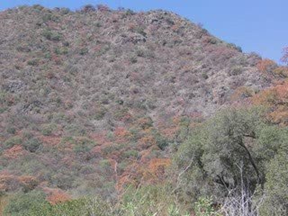 La meditación cristiana: una explicación por la maestra zen María Benetti