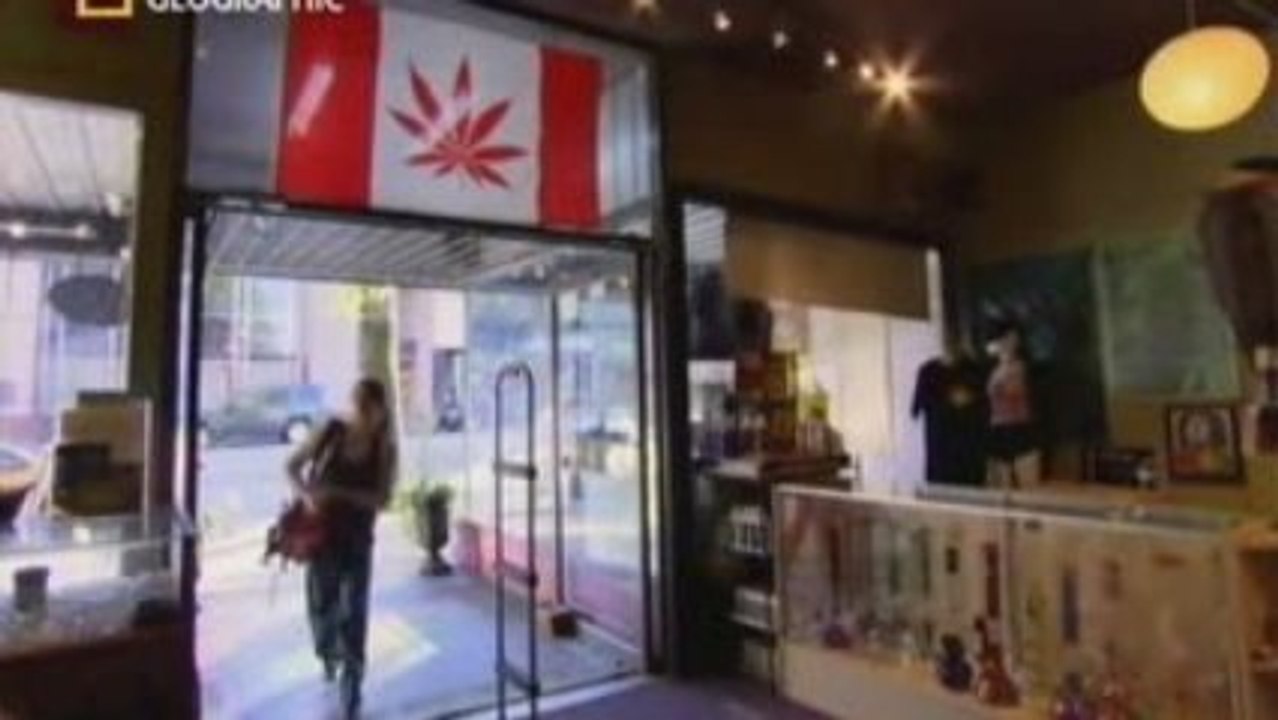 la Marijuana National Geographic3