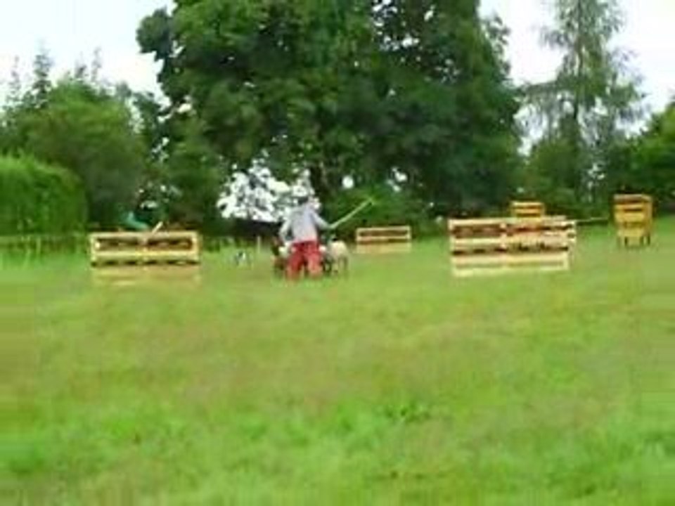 concours troupeau amical haut du tôt dixie partie 2 14/07/09