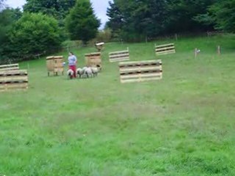 concours troupeau amical haut du tôt gavroche partie 1