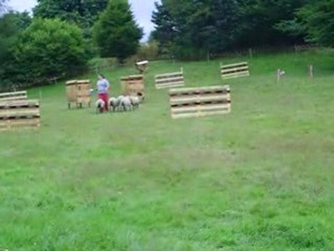 concours troupeau amical haut du tôt gavroche partie 1