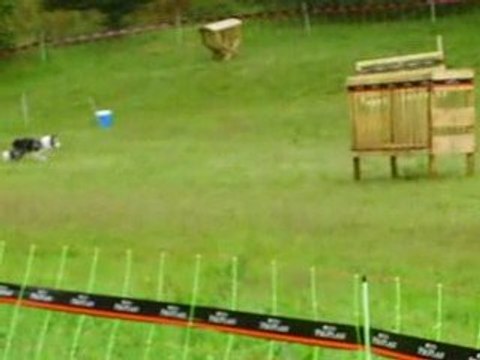 concours troupeau amical haut du tôt gavroche partie 2