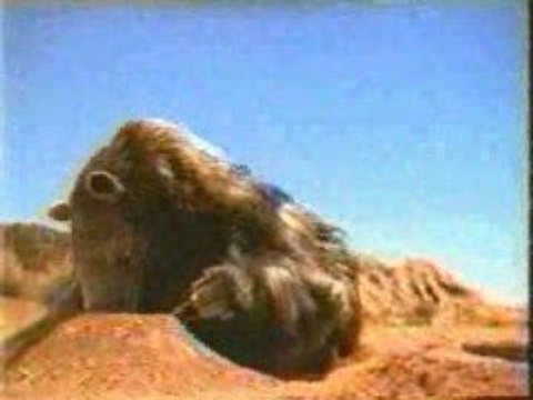 Banned Commercials - Budweiser Ants