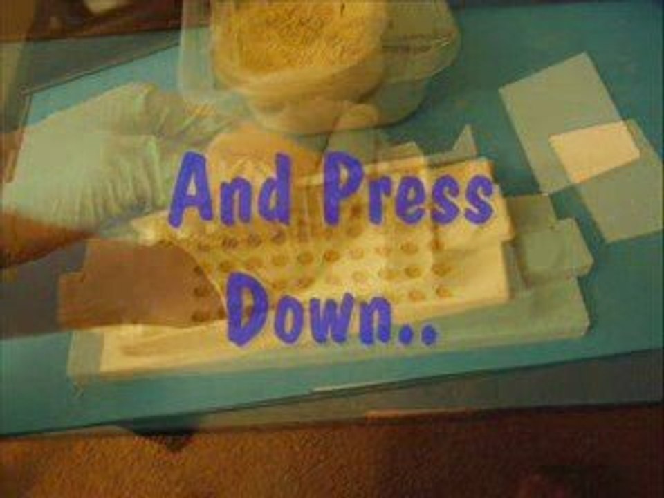 Kratom Pills: How to make Kratom Capsules