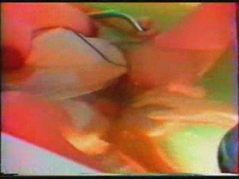 Accouchement dans l'eau, Vidéo d'une naissance