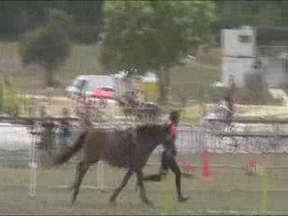 ride and run