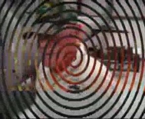 Truth TV Ground Zero Tour Brainwashed to kill