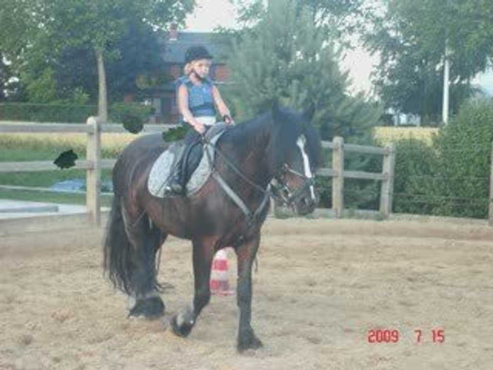 meg jafar toto 07-2009