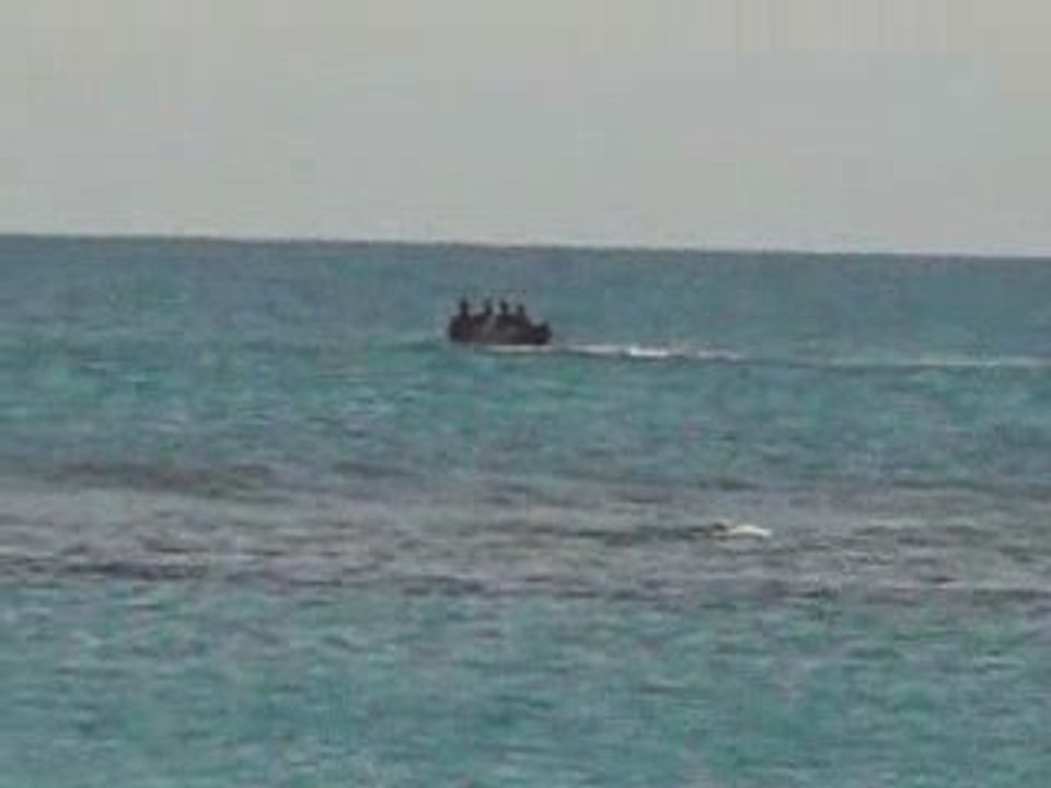 La pirogue et la caudale