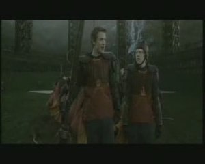 Harry Potter e Il Principe Mezzosangue - La tua amica Grange