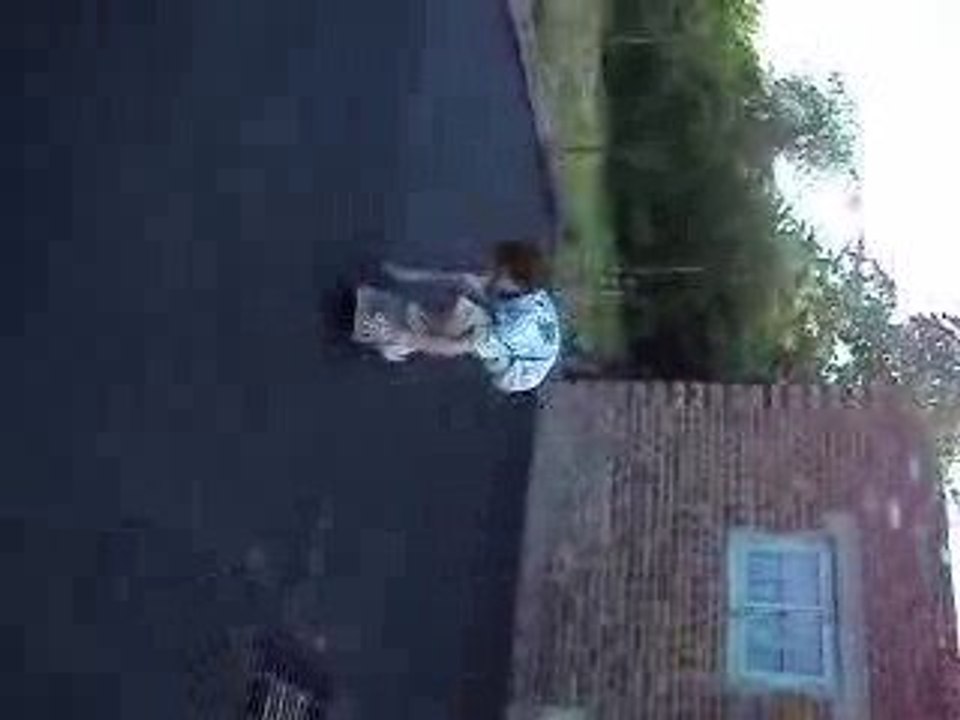 MOV00173