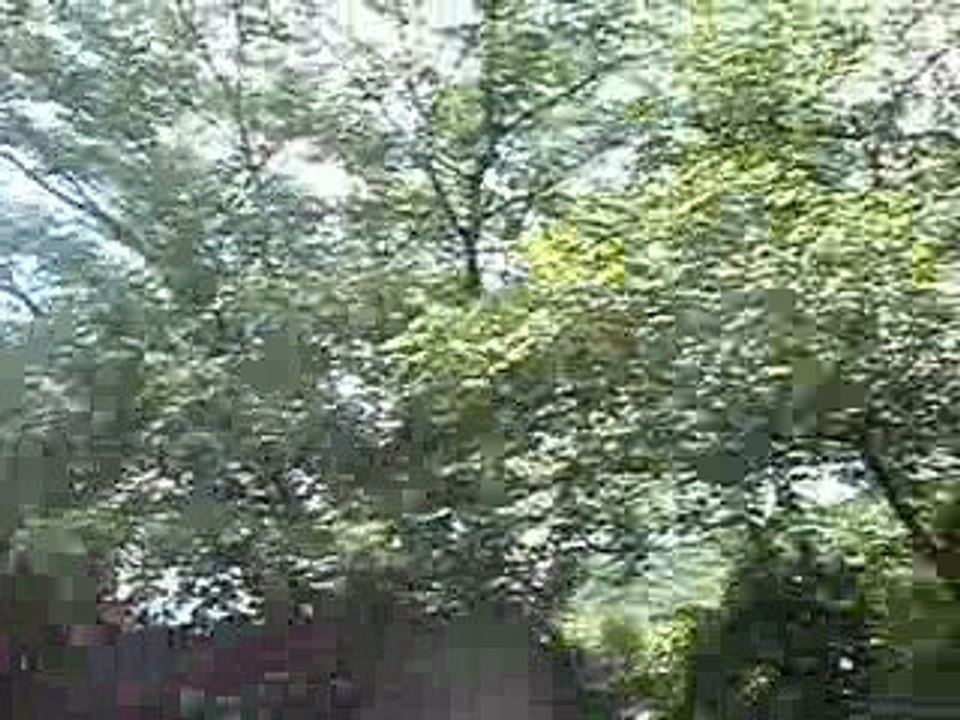 Douce journée d'été