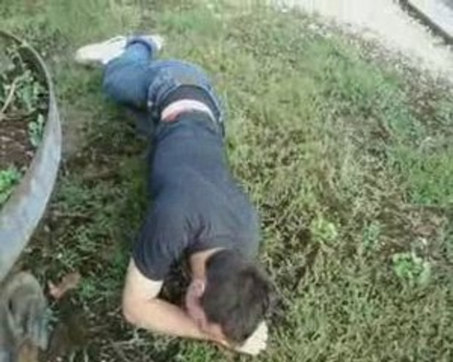 chute violente de bebert