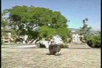 parkour/freerunning clip 4