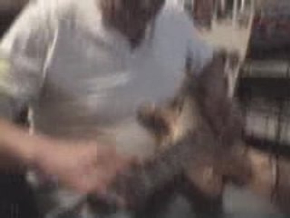 a toute les femmes du monde sauf une ?