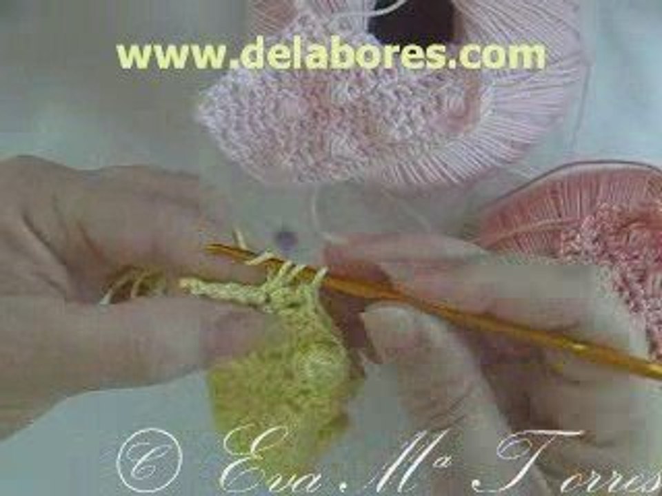 video 34. garbanzos 2