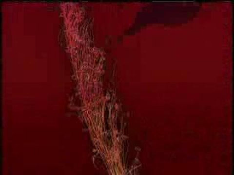 MADONNA get together