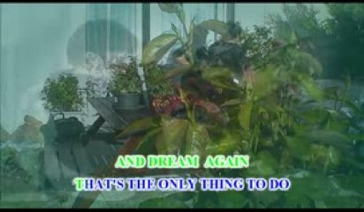 DREAM LOVER ( LOBO )