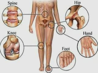 Khám Phá Vai Trò Của Canxi Trong Sức Khỏe Xương Khớp 🦴