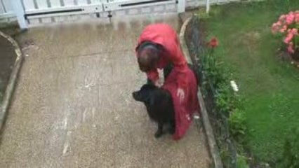 Baika passe au toilettage