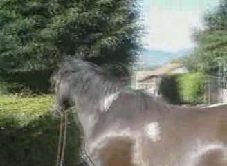 Luciole: Ballade samedi 11 juillet