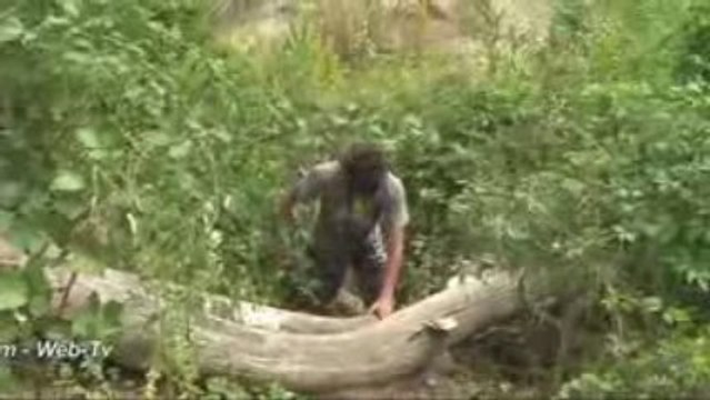 Etang de Corra - Foret Saint Germain en Laye 78100