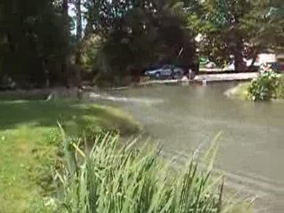 micro cool running