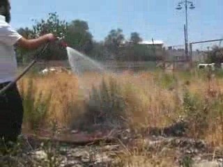 MOn frère ce Héros!