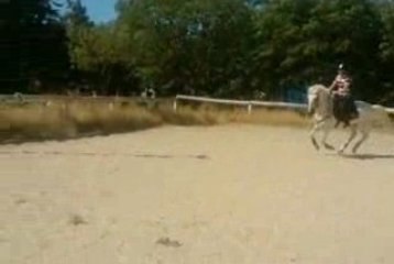 Mouchou saut 1m