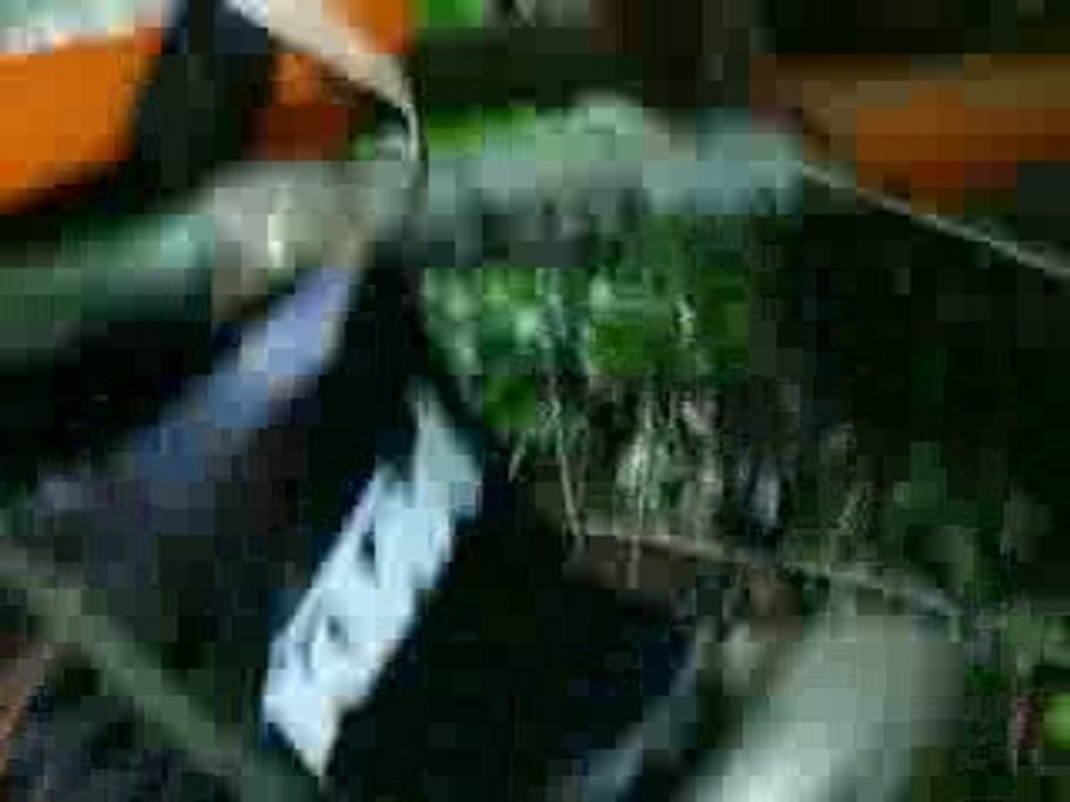 Sortie 19/07/2009