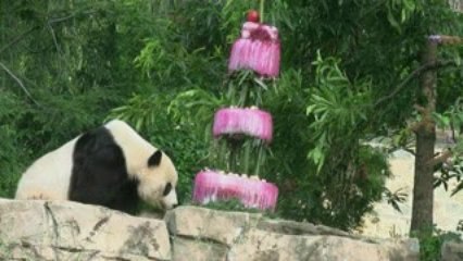 Tai Shan 4th Bearday Cake Part 1