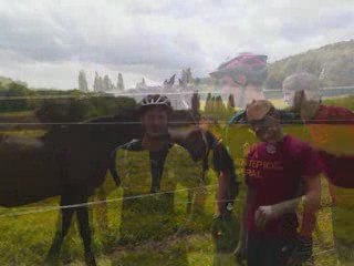 Les petits VTT dans la prairie