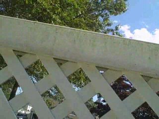 Selden ,  dragon's Ultra wash PVC, power washing dragon