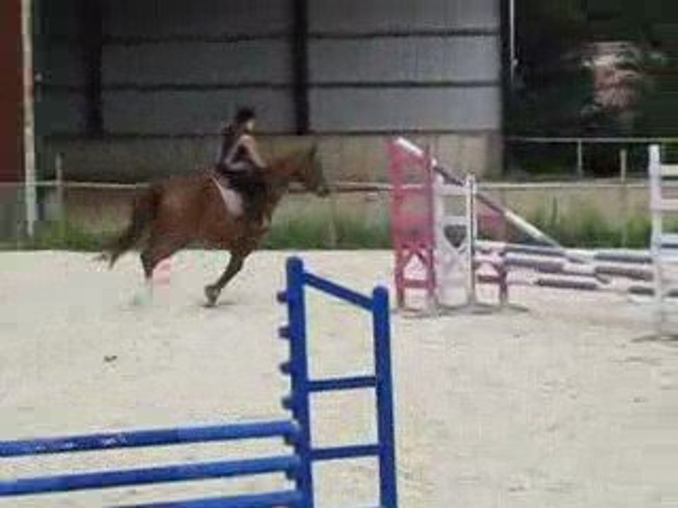 Stage juillet 2009 (2)