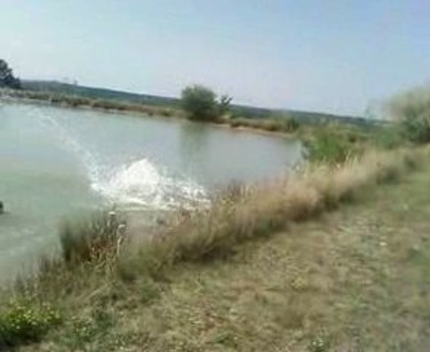 Sauper avant vrillé