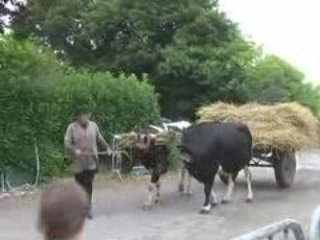 Koan freil ba Rieg : bevet Jean-Bernard !