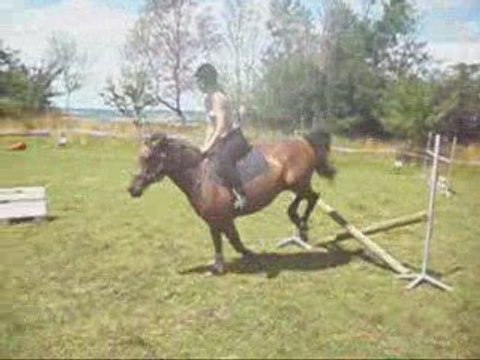 séance de saut avec Kilou, Ouragan, Diane et Moi