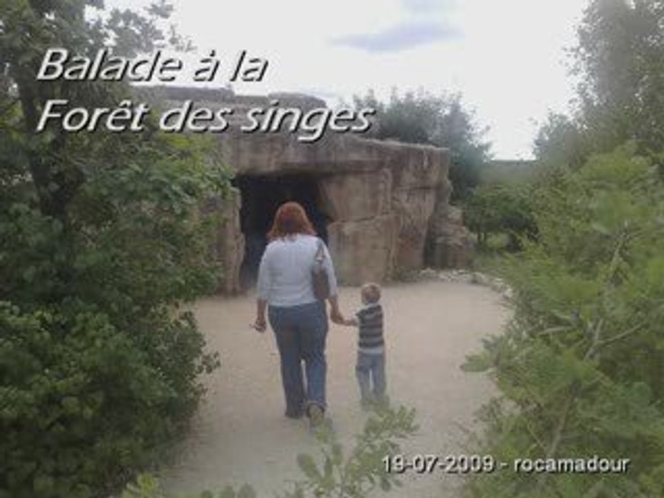 Balade à la Forêt des singes