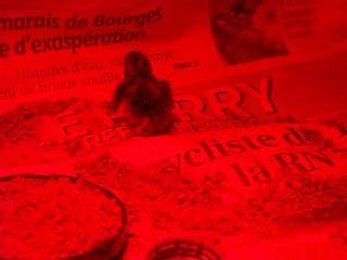 MA PREMIERE PETITE CAILLE NEE EN COUVEUSE.....