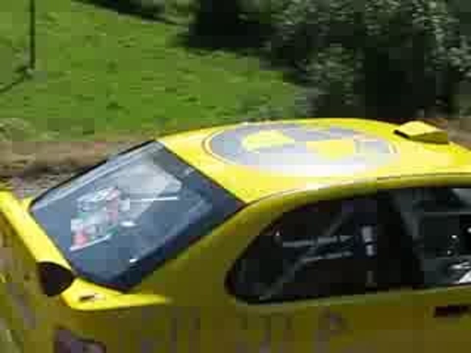 Rallye paul friedman Sil20