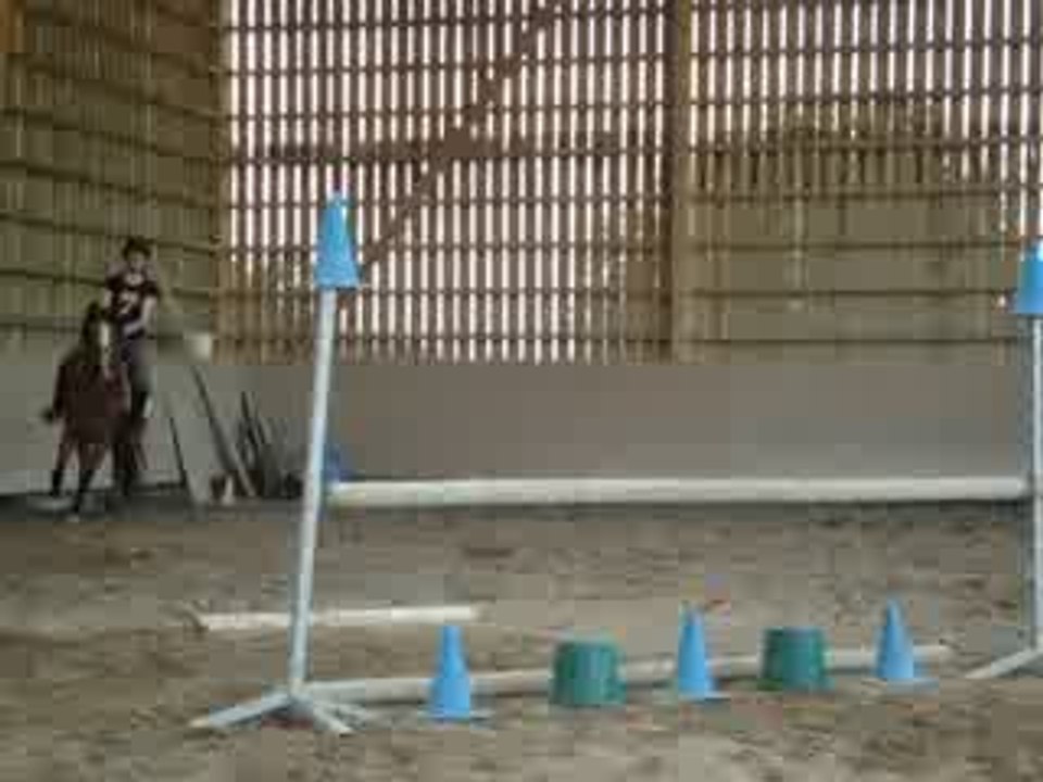 Séance de saut avec Kyriie.