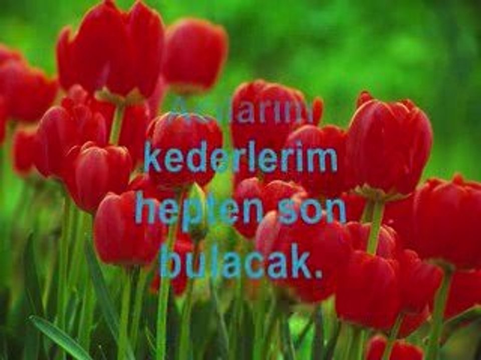 Seversen Beni