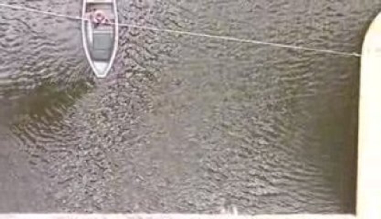 Saut élastique guillaume