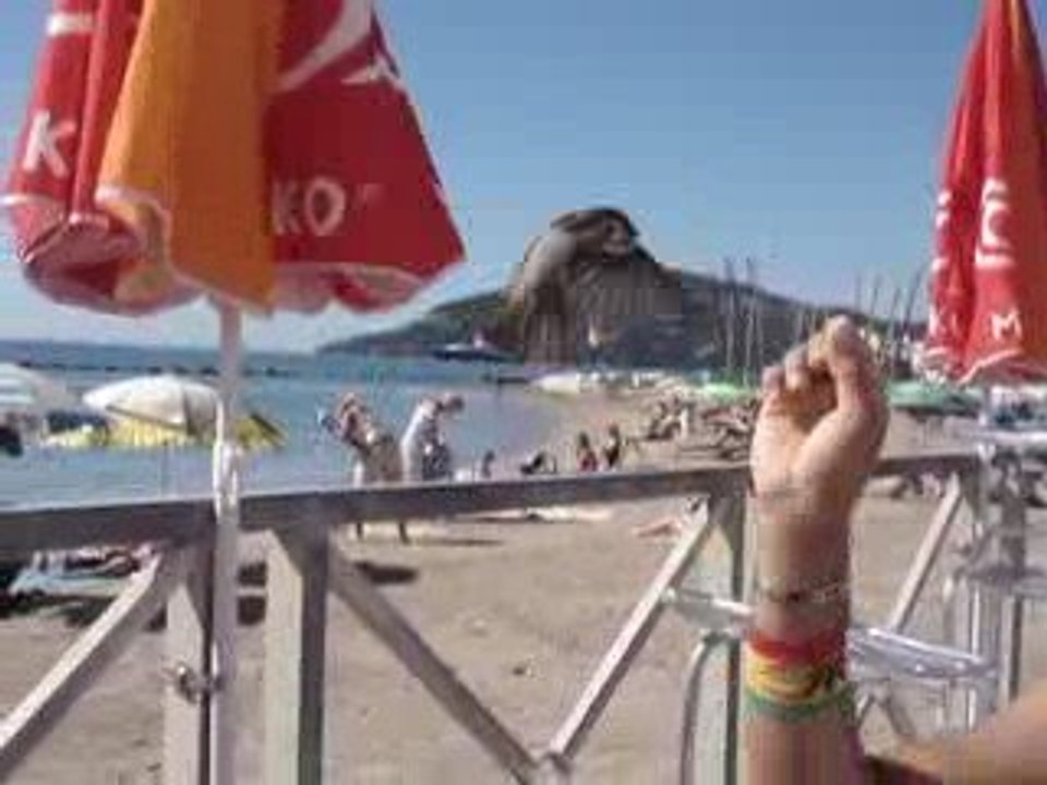 OISEAU 2