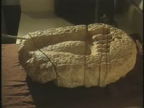 Mysterieuses Origines de l'Homme 1 Archéologie Fantastique