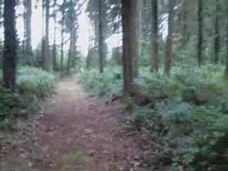 Ménil Hubert3