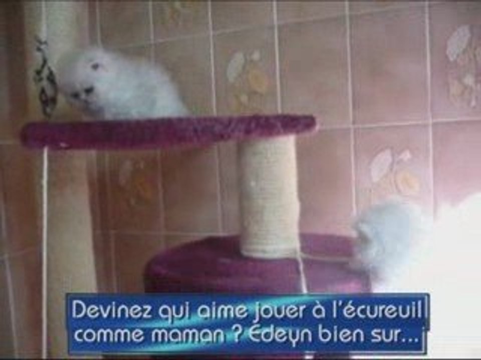 Mes 3 petits diables ACTE I