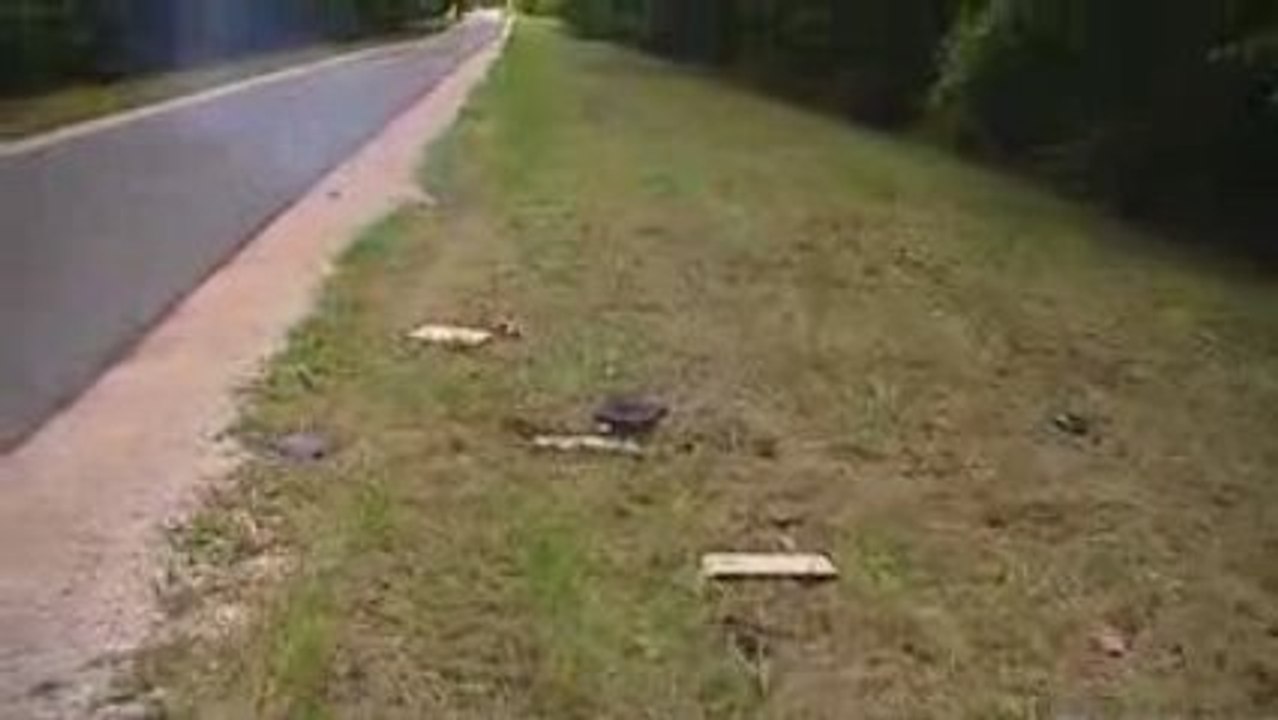 explosion caisson spl mdr