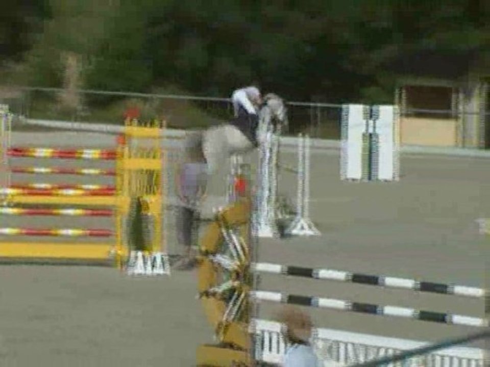 Cordessa P Sieg im Standardspringen Klasse L