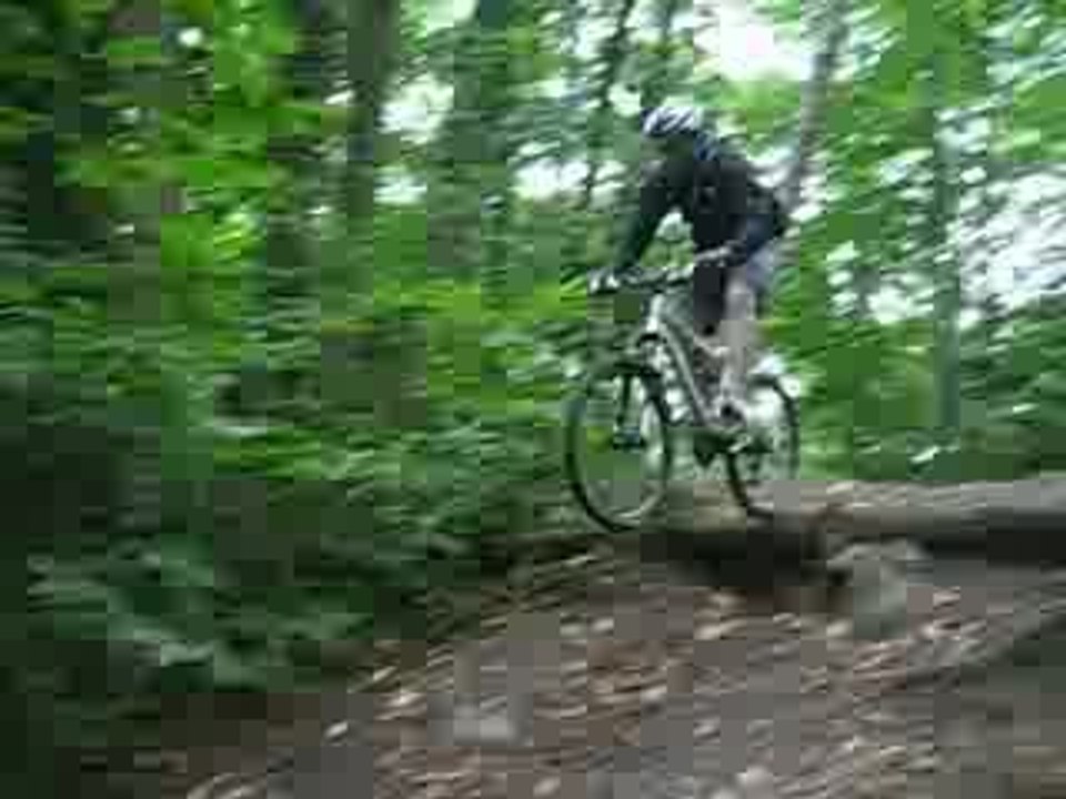 190709 Mt Griffon 9092 marche Denny